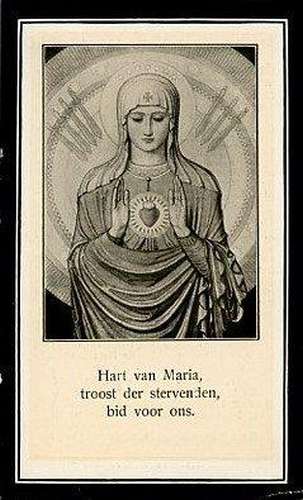 Scan